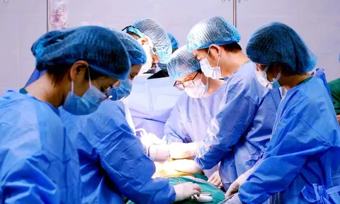 Bộ Y tế thông tin về đề xuất hiến tạng ở trẻ em dưới 18 tuổi