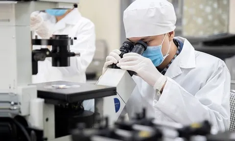 Nhiều chính sách đột phá được đề xuất nhằm phát triển nguồn nhân tài