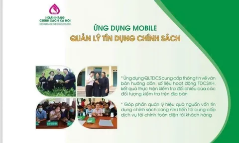 Ngân hàng Chính sách xã hội thị xã Ba Đồn triển khai ứng dụng Quản lý Tín dụng chính sách