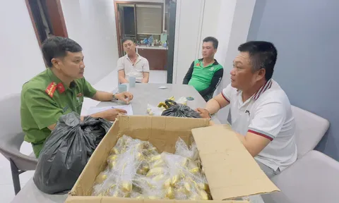 Bà chủ bãi cát bị lừa mất nhẫn vàng trị giá 5000 USD vì 'cổ vật' dỏm