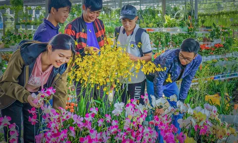 Tỉnh Đồng Tháp: Ban hành bộ tiêu chí về xây dựng chuẩn mực con người