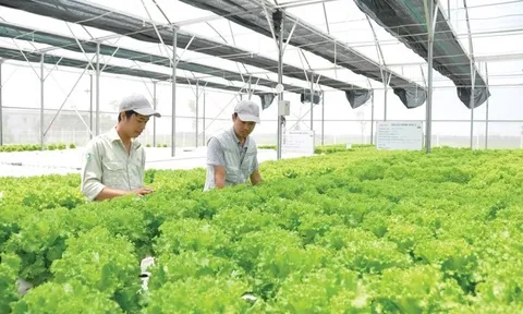 Những thời cơ và thách thức trong phát triển kinh tế xanh ở Việt Nam hiện nay