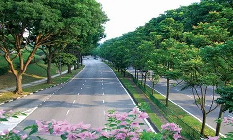 Phát triển cây xanh, công viên đô thị: Thực trạng và giải pháp