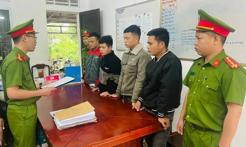 Thừa Thiên Huế: Khởi tố đối tượng vi phạm quy định khai thác bảo vệ rừng