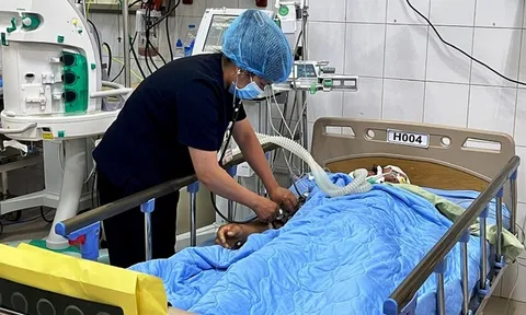 Lâm Đồng: Hai anh em ruột tử vong vì ngộ độc rượu