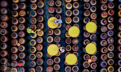 Về Hưng Yên  nhớ hương tương Bần