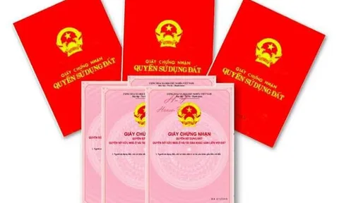 Sổ đỏ bị thu hồi trong trường hợp nào?
