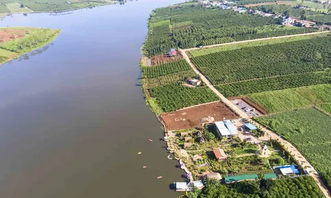 Tài sản gắn liền với đất bị thu hồi, người dân được bồi thường như thế nào?