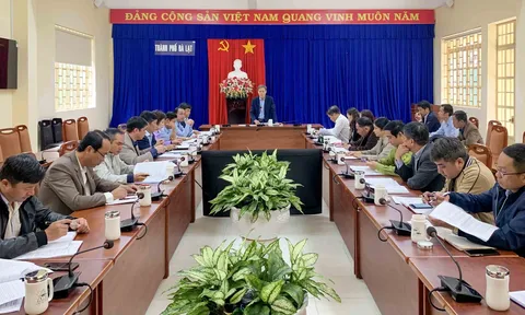 Thường trực HĐND TP. Đà Lạt giám sát công tác quản lý bảo vệ rừng