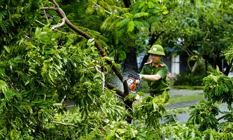 Công an phường Nại Hiên Đông ra quân giúp dân khắc phục hậu quả sau bão Noru