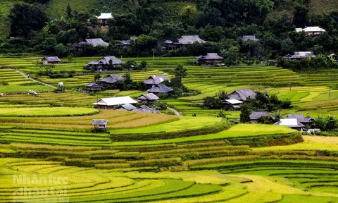 Không đăng ký biến động đất đai bị xử phạt thế nào?