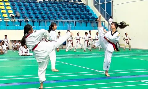Lâm Đồng tổ chức thi thăng đẳng quốc gia năm 2022 cho 150 võ sinh Taekwonđo