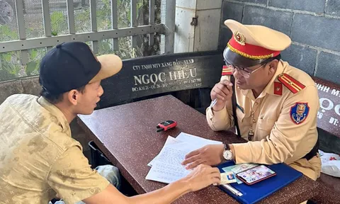 Đắk Lắk: Phát hiện trường hợp lái xe sử dụng giấy phép lái xe giả