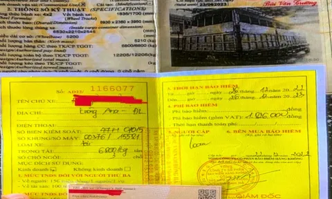 Một lái xe sử dụng đăng kiểm giả bị cảnh sát giao thông phát hiện
