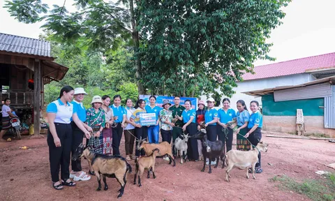 Phụ nữ nghèo nơi biên cương Hướng Hoá được tặng dê tạo sinh kế