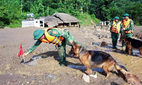 Bộ đội Biên phòng Việt Nam xuất quân khuyển tìm kiếm nạn nhân bị lũ quét