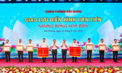 “Những bông hoa biển”