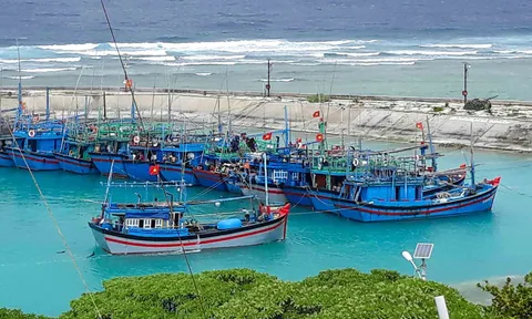 Hải đoàn 129 Hải quân hoàn thành xuất sắc nhiệm vụ Quốc phòng kết hợp kinh tế năm 2024