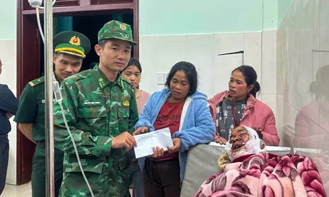 Một người dân bị gấu tấn công khi đi rẫy