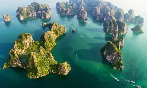Quảng Ninh: Thực hiện tinh gọn bộ máy, sắp xếp lại các đơn vị sự nghiệp và doanh nghiệp nhà nước