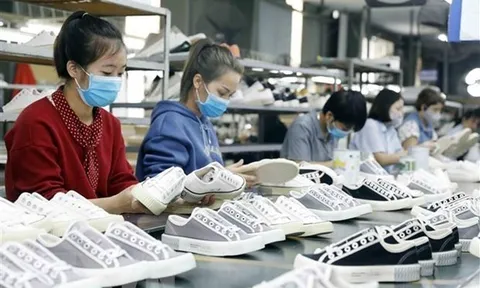 Bức tranh toàn cảnh về nhân lực ở Việt Nam: Nhiều điểm tích cực