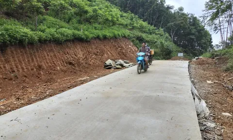 Ngọc Hội Kim Bình - Con đường nối những niềm vui