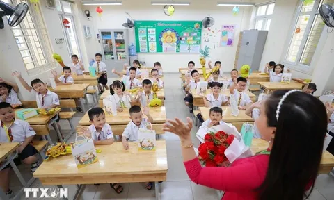 Bất cập tại các địa phương khi triển khai học bạ số cấp Tiểu học