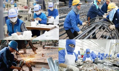 Thị trường lao động: Tích cực nhưng cần cải thiện nhiều về chất lượng lao động