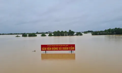 Bắc Giang: Chung tay khắc phục hậu quả mưa lũ tại xã Xuân Cẩm, Hiệp Hòa