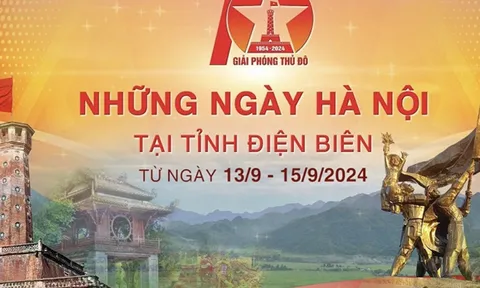 Dừng tổ chức hoạt động văn hóa nghệ thuật, tập trung khắc phục hậu quả bão số 3