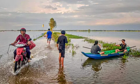 Mênh mang mùa nước nổi miền Tây