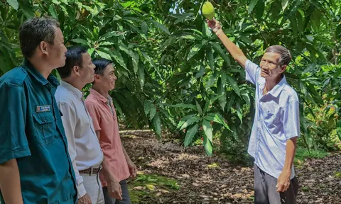 Tỉnh Đồng Tháp: Xác định nhiều chỉ tiêu cụ thể trong chủ trương phát triển nông dân văn minh đến năm 2030