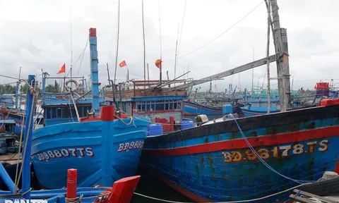 Nhiều tàu cá nằm bờ vì thiếu lao động
