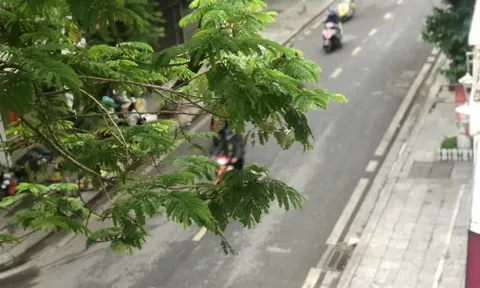 Dự báo thời tiết 17/4: Hà Nội mưa, trời rét