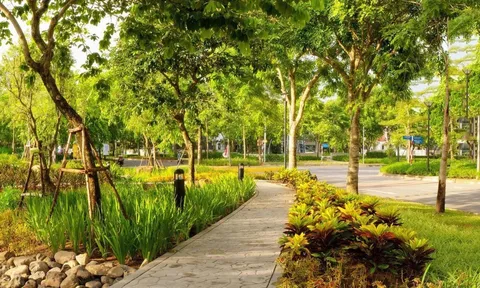 Dự báo thời tiết ngày 21/4: Hà Nội nắng nóng, nhiệt độ gần 30 độ C