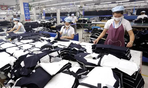 Bảo hiểm tai nạn lao động, bệnh nghề nghiệp - "Điểm tựa" của người lao động