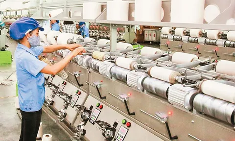 Phát huy hiệu quả các chính sách hỗ trợ doanh nghiệp
