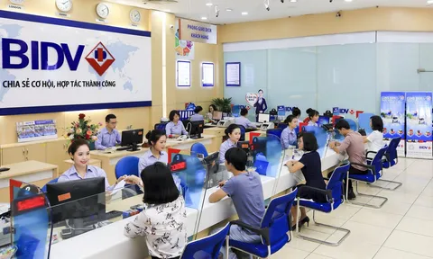 Dự thảo Thông tư quy định mã số, tiêu chuẩn chuyên môn, nghiệp vụ và xếp lương đối với ngạch công chức chuyên ngành ngân hàng.