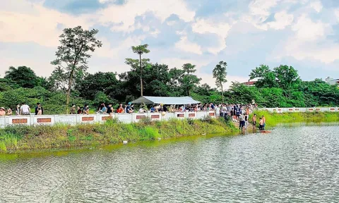 Hà Nội: Tìm thấy thi thể 2 học sinh lớp 6 tử vong vì đuối nước tại xã Song Phương
