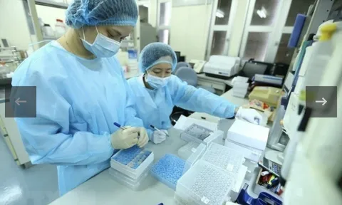 Nhà khoa học nữ trong đại dịch Covid-19: Chưa bao giờ yêu 2 tiếng "bình thường" đến thế