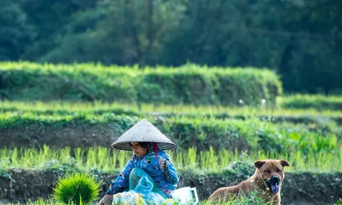 Ngày hè của những đứa bé vùng cao
