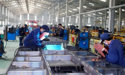5 năm, tạo thêm việc làm cho 80.000 lao động