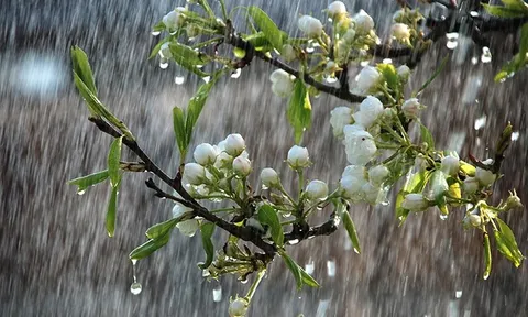 Sau đợt nắng nóng, miền Bắc sắp bước vào đợt mưa lớn kéo dài nhiều ngày