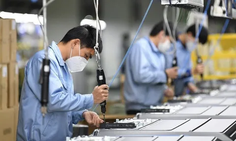 Làm công nhân lương 12 triệu đồng/tháng thay vì chờ việc đúng ngành
