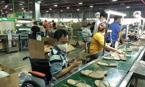Lao động khuyết tật được trả lương như người bình thường