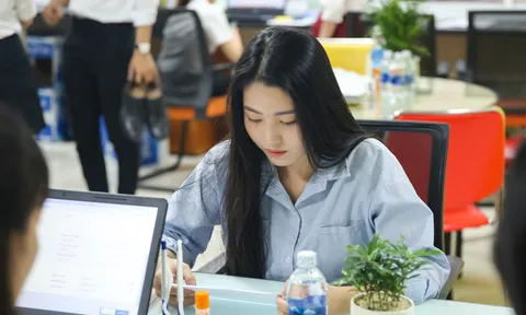 Sinh viên mới ra trường lương cả ngàn USD: Thật hay ảo tưởng?