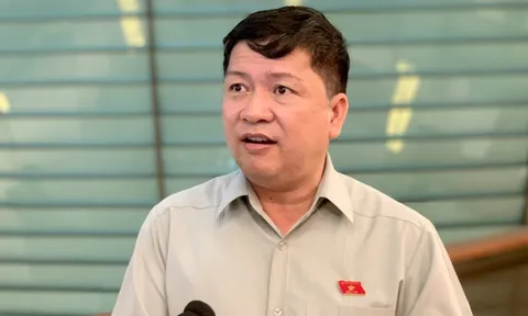 “Năng lực cán bộ quản lý thế nào mà lại sợ sai, không dám làm!”