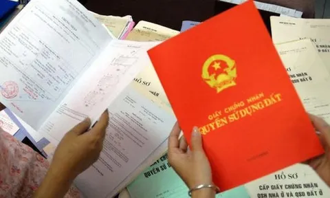 Những trường hợp không được giao quyền sử dụng đất đai