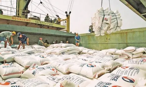 Cơn sốt giá lan trên toàn cầu, Việt Nam sở hữu ‘kho hàng’ 28 triệu tấn