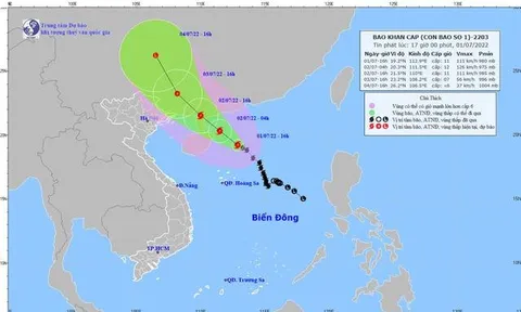 Công điện của Thủ tướng Chính phủ yêu cầu tập trung ứng phó bão số 1 và mưa lũ